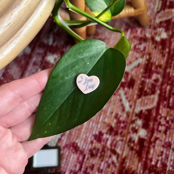 I Love Lucy PHB Trinket box - Picture 5 of 6